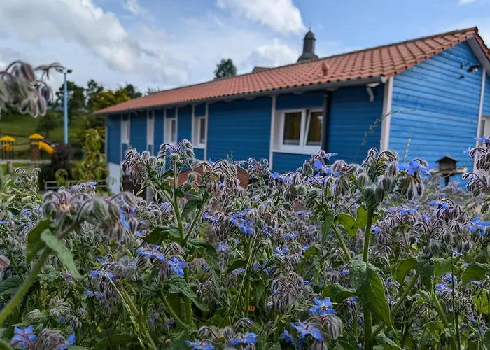 Am Schierbach Apartmán