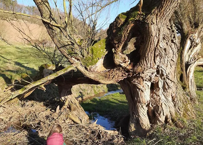 Am Schierbach Apartmán Fretterode